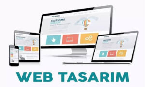 Kastamonu Web Tasarım Firmaları